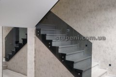 stupeni-com-ua-shody-z-dereva0003